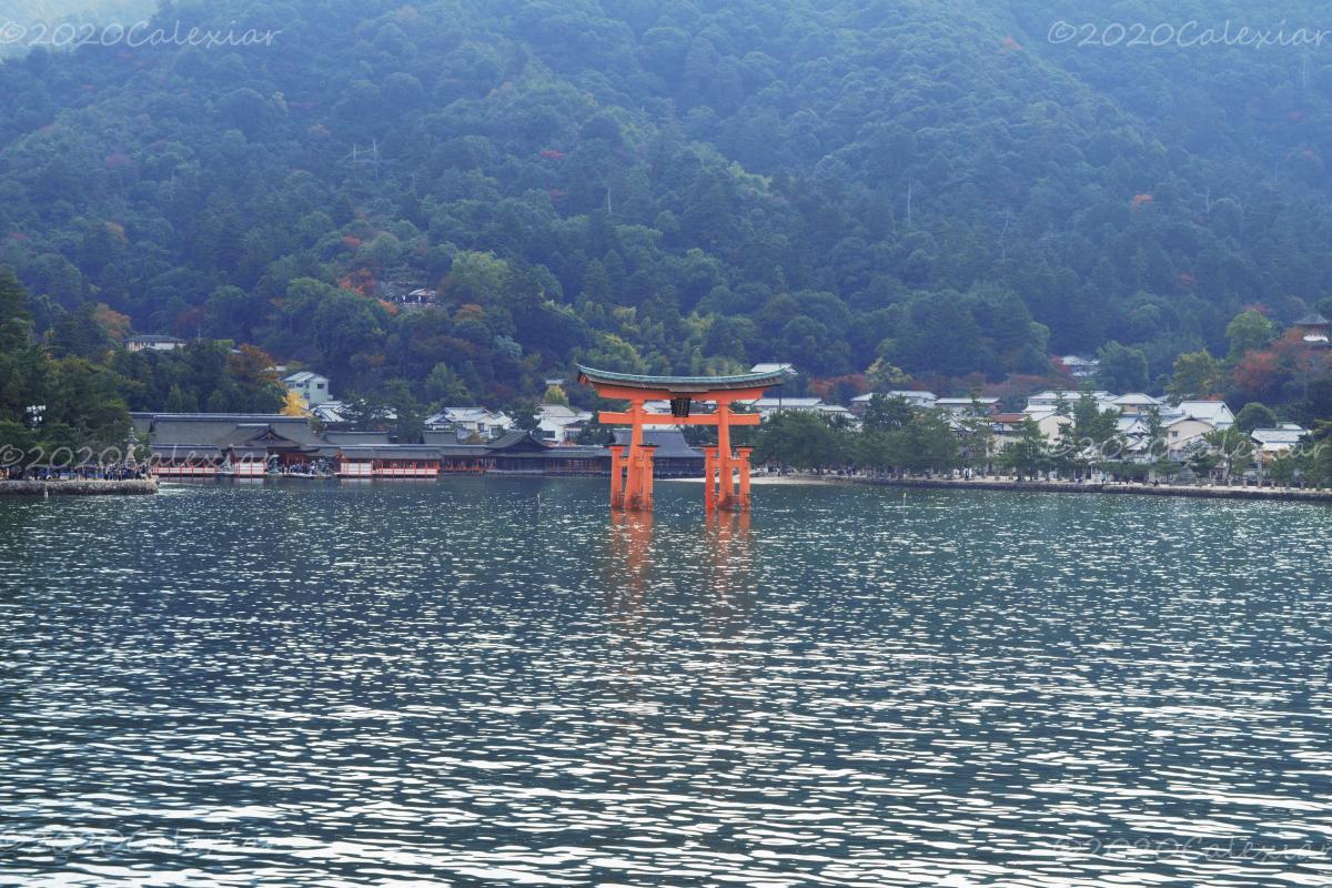 Miyajima - Torii Flotante