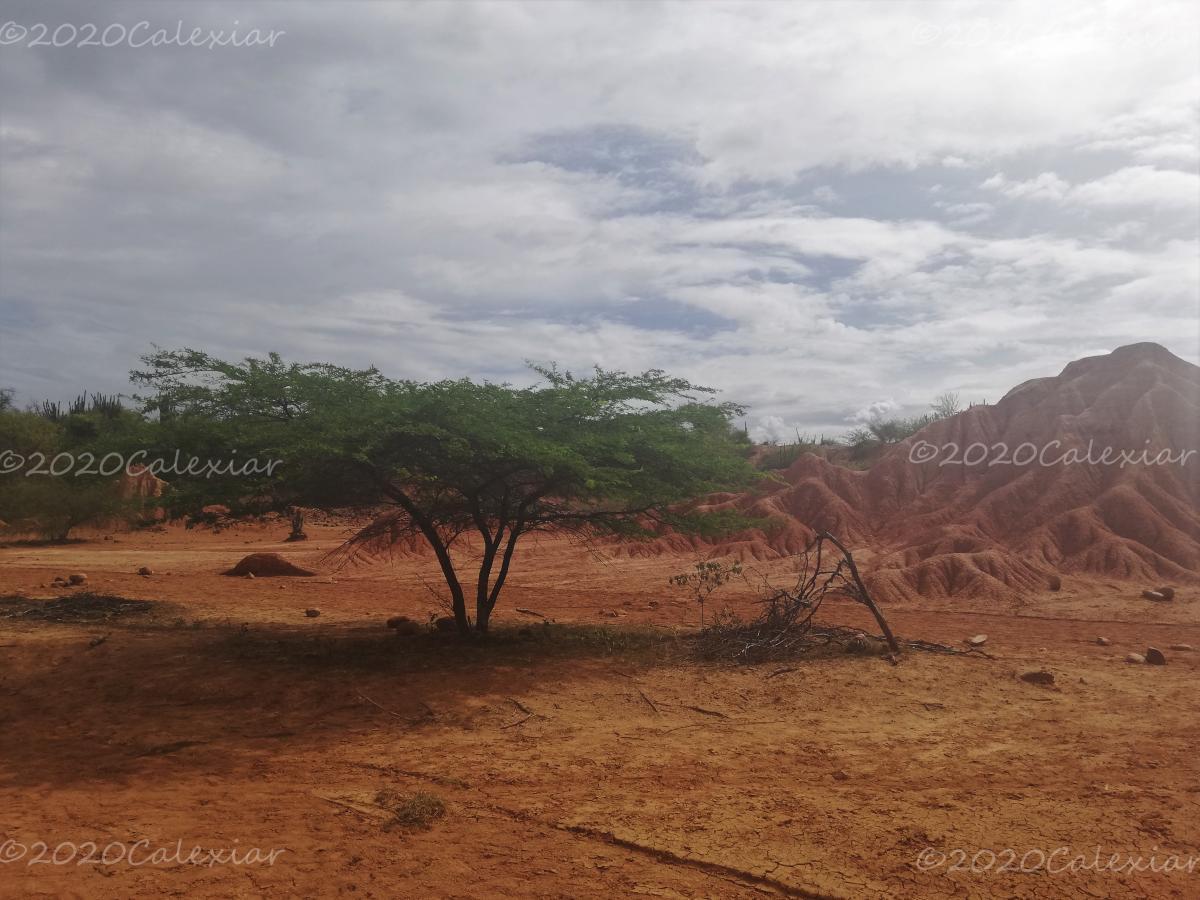 Huila - Desierto de la Tatacoa