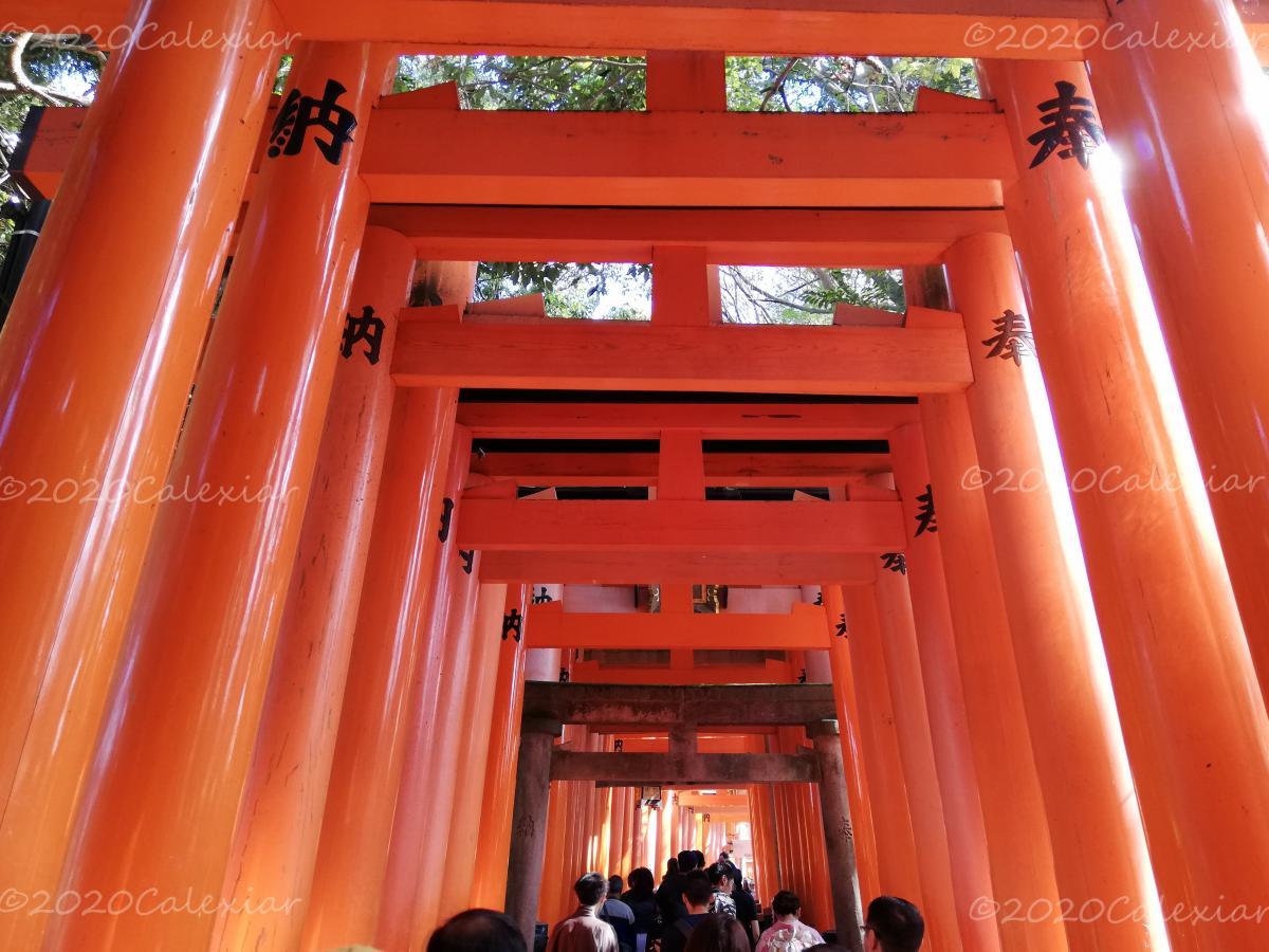 Kyoto - Fushimi Inari