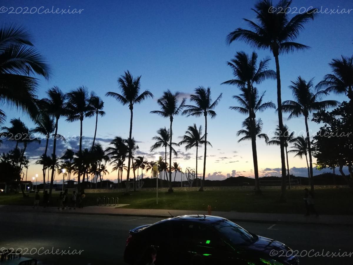 Miami Amanecer