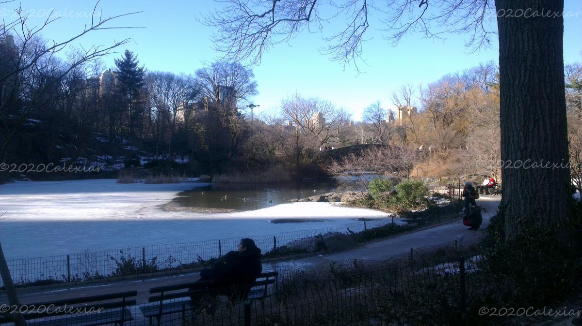 New York - Central Park