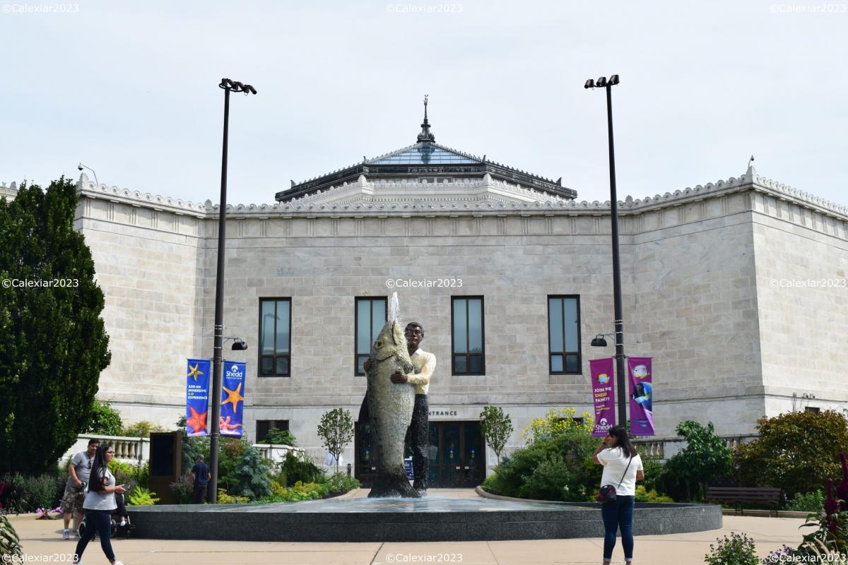 Acuario Shedd